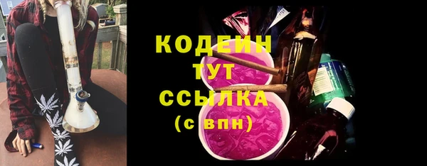 прущие грибы Кинешма
