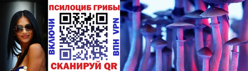 Галлюциногенные грибы мицелий  Жигулёвск 